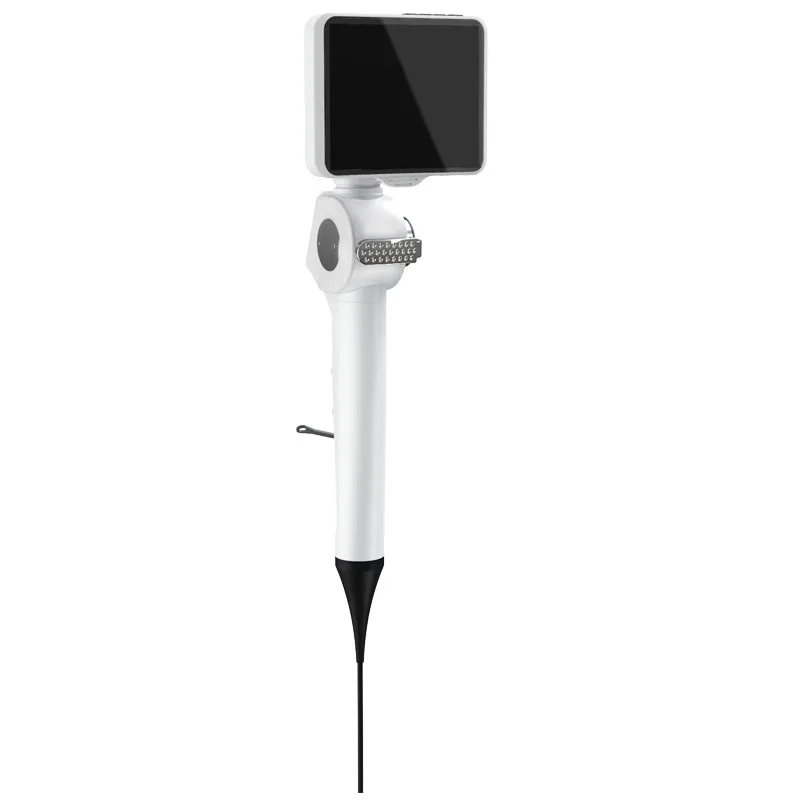 Medical Portable Video HD ENT Scope Nasal Endoscope Bronchoscope Urethrascope Flexible Endoscope