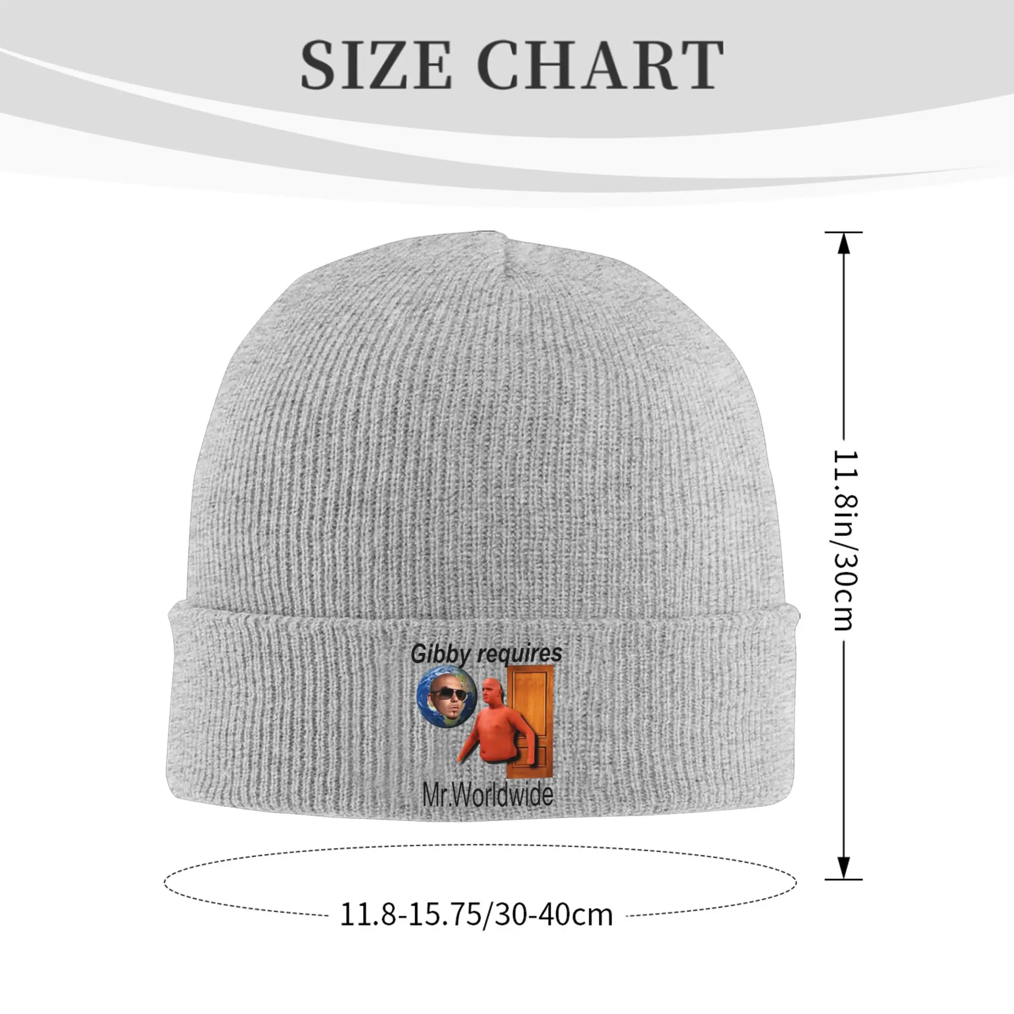 Gibby Requires Mr. Worldwide Pitbull Winter Skullies Beanies Hat Warm Autumn Knitted Hats Bonnet Caps for Women Men