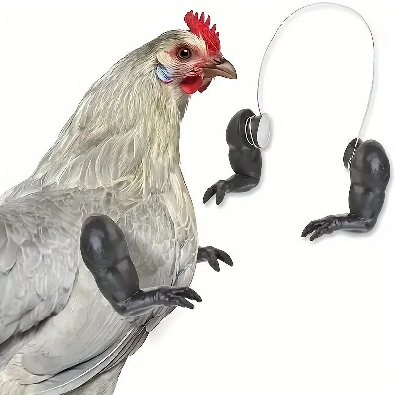New Arm Decoration, Chicken Forelimb Decoration Dinosaur Spoof Pet Props Chicken Arm