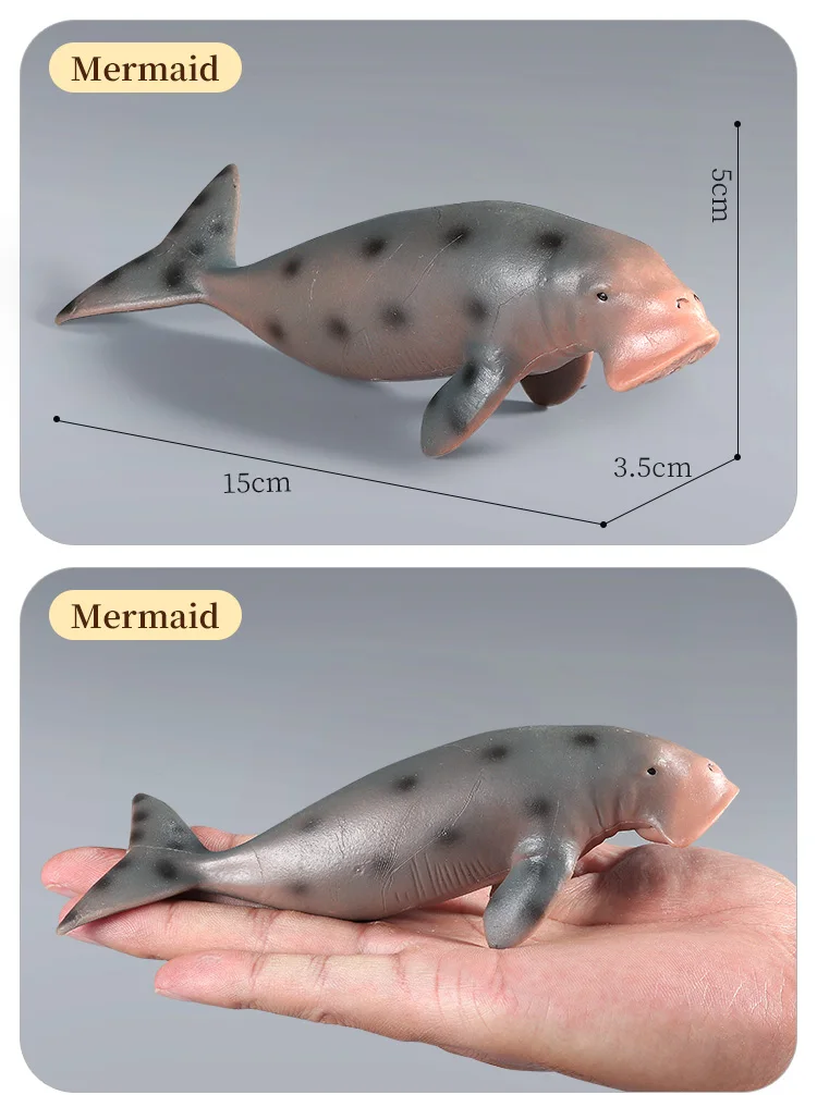 Simulations-Actionfiguren „Ozean, Meer, Leben, Tiere – Walross, Seekuh, Seelöwe, Lernspielzeug für Kinder, Marine-Modell-Kollektion – Detail 15