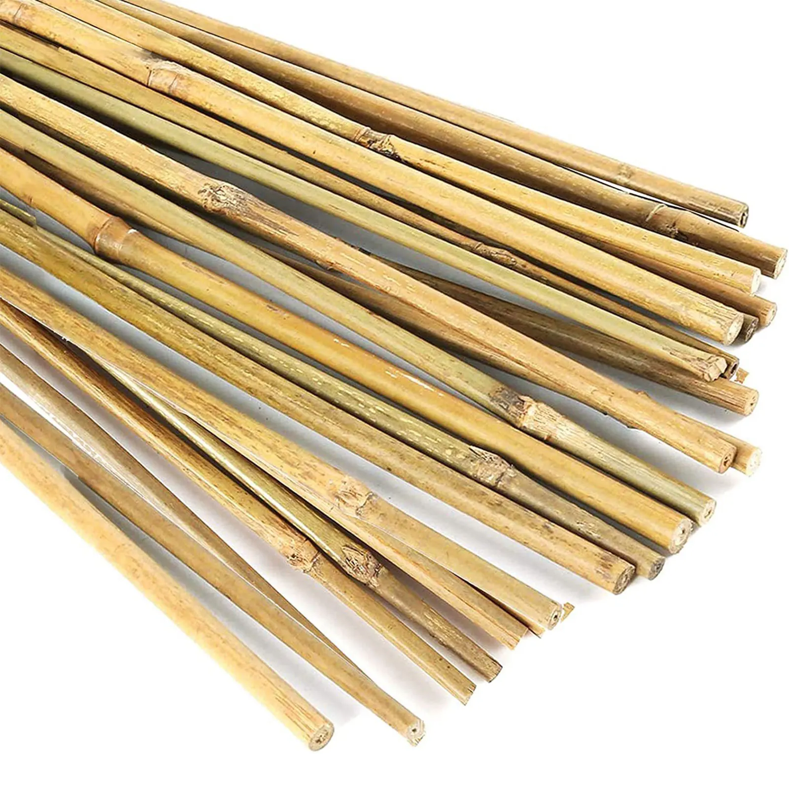 

20 Pcs Plants Bamboo Support Sticks Sturdy Plant Supporting Fixing Stake for Garden Potted Plants Use IMNT