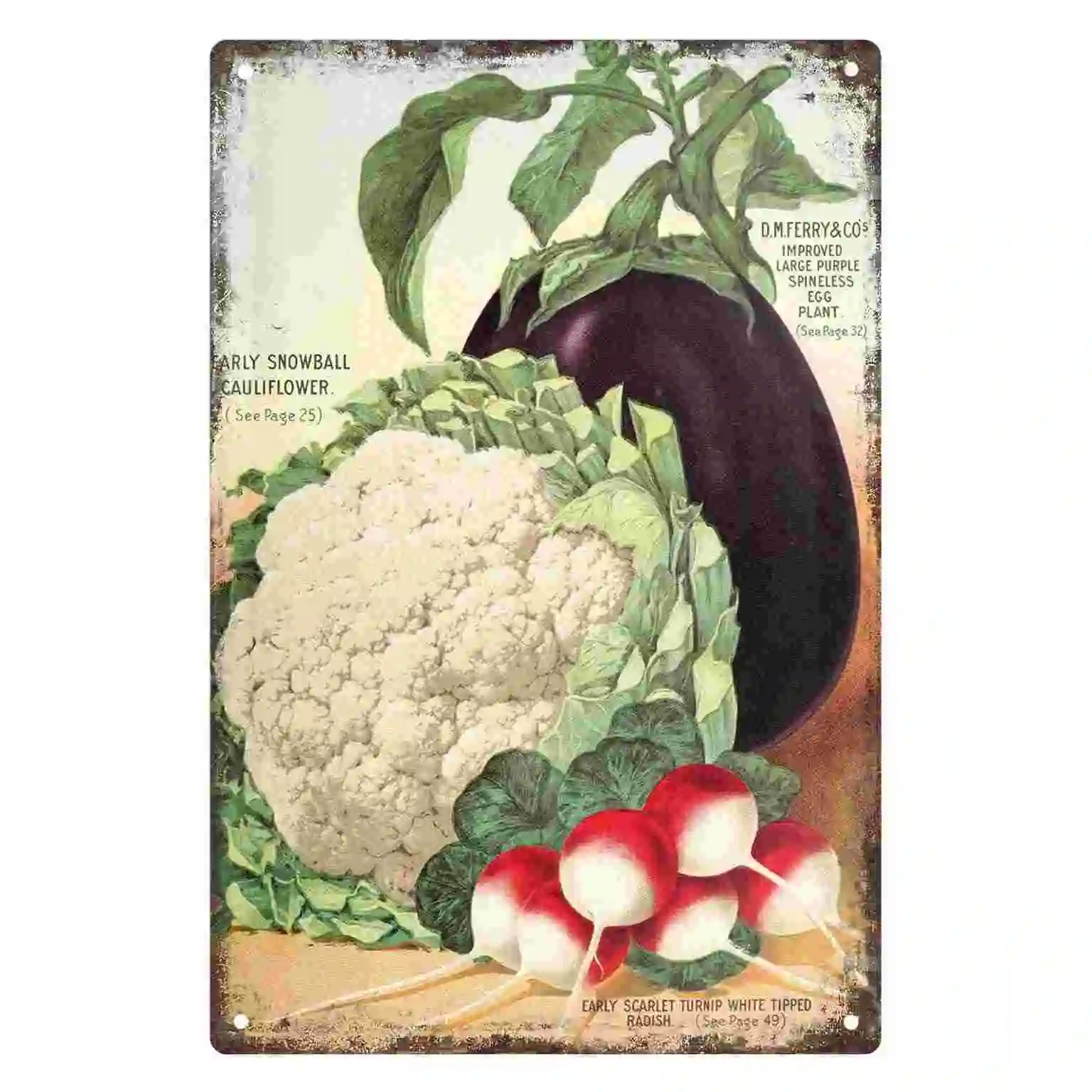 2D FLAT 1pc Vintage Vegetable Seed Catalog Botanical Wall Poster Decoration for Kitchen Cafe Farmhouse Dining Room And Garden