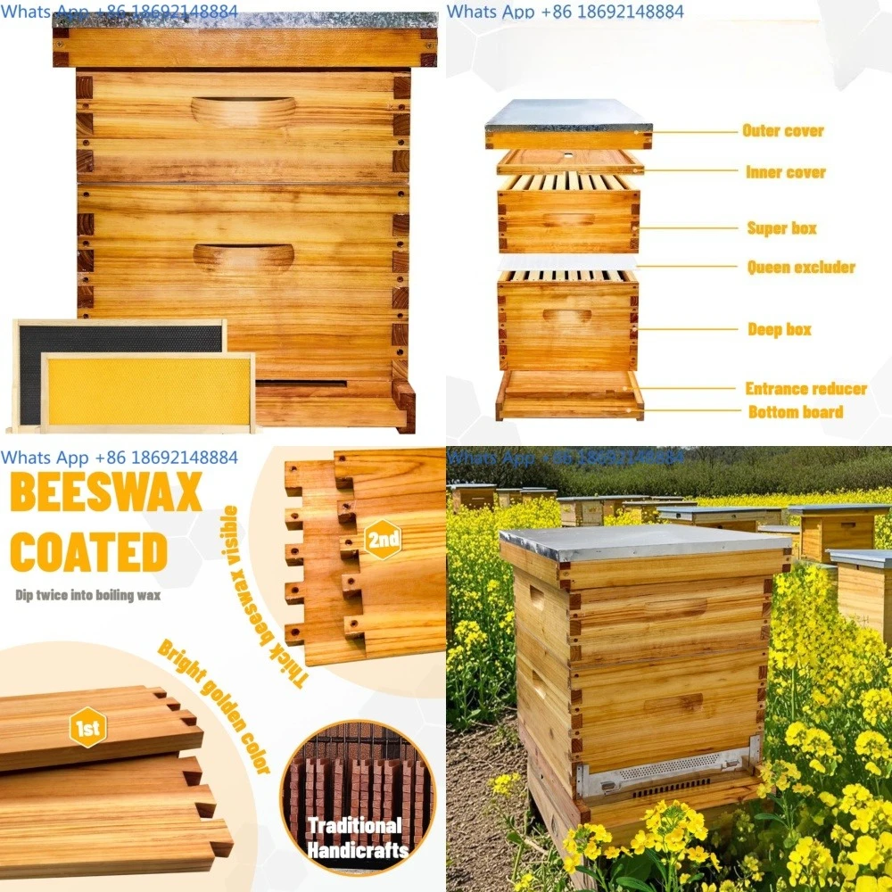

Beehive Complete Set of Beekeeping Tools Standard Ten Box Beehive Box Set