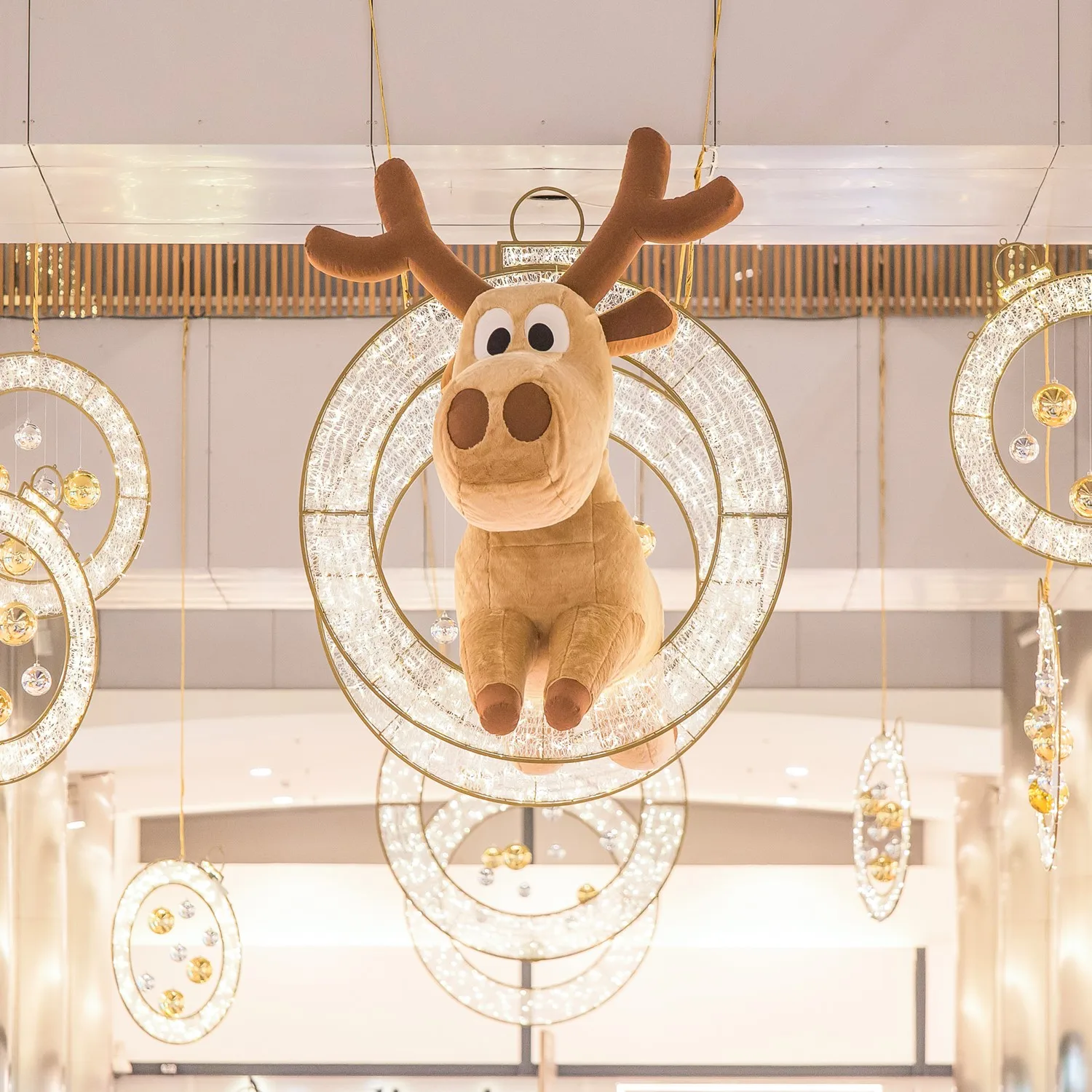 رائجة البيع مخصص في الهواء الطلق مقاوم للماء حلقة مضيئة 2D LED عزر ضوء عيد الميلاد الديكور شارع المشهد عيد الميلاد زخرفة