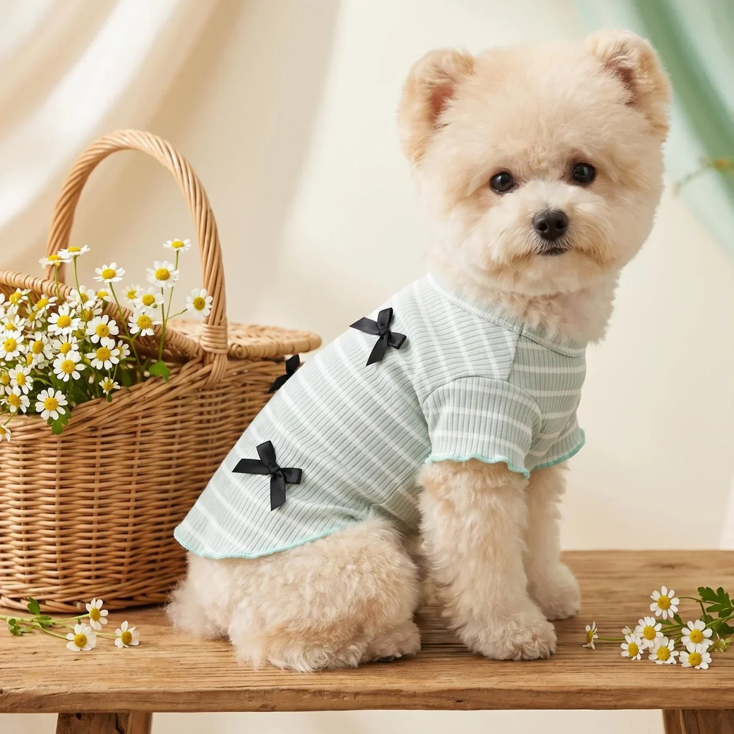 1 Stück Niedliches Hundeshirt mit Schleifendekoration, Gestreift, Weich, Dehnbar, Gerippt, Katzen-T-Shirt, Frühling Sommer Atmungsaktive Haustierkleidung – Detail 23
