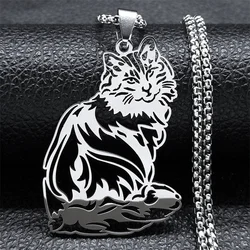 Cute Cat Ragdoll Kitty Pendant Necklace for Women Men Stainless Steel Silver Color Chain Pet Lover Gift Jewelry colar N3213S01