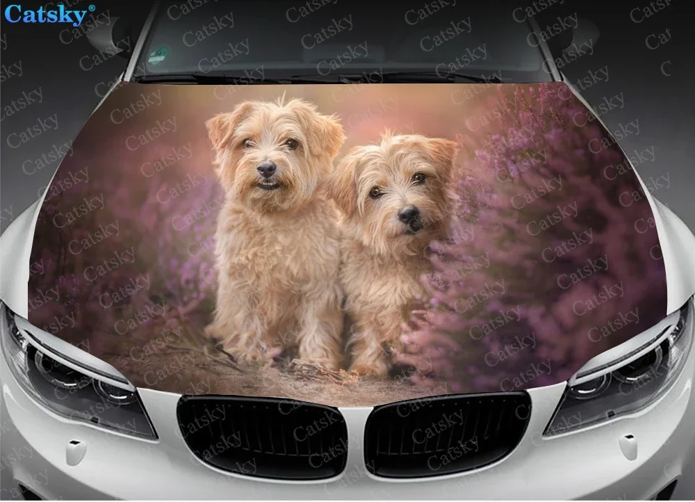 Norfolk Terrier animal Car Hood Decal Self-Adhesive Paint Suitable for SUV Wrap Truck Graphic Car Engine Vinyl Sticker