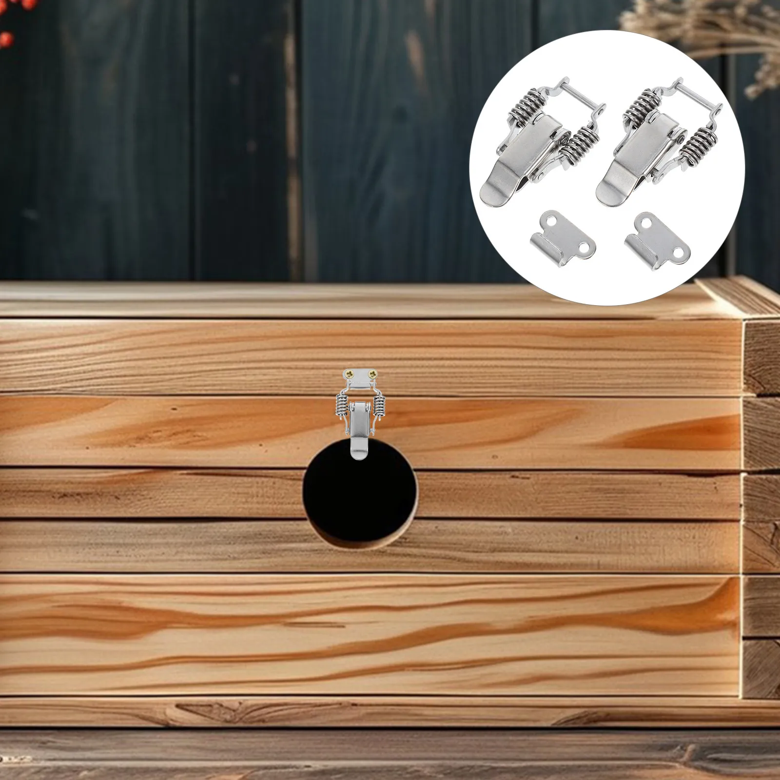 2Pairs Stainless Steel Toolbox Toggle Latches Spring Hasp Compression Spring Lock for Cabinet Boxes Wooden Case Chest