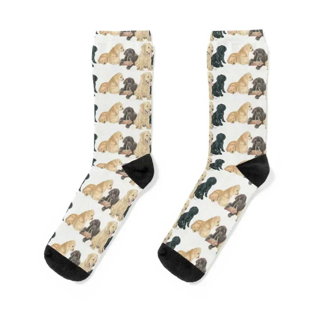 Labrador Puppies Socks men cotton high quality Men's Socks Men Women's