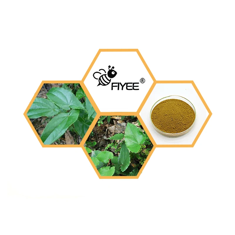 High-Quality Epimedium Horny GoatWeed 20:1 Yin Yang Huo