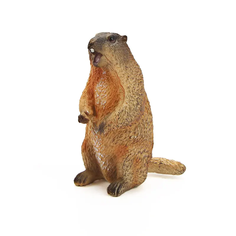 Wilde Tiere Simulation Nagetier Murmeltier Modell Action Figur Figur Sammlung Nettes Kind Spielzeug