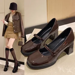 Fashion Shallow Mouth High-heeled Women Shoe 2024 Spring New French Retro Thick Heel Small Leather Shoe All-match Mary Jane Shoe