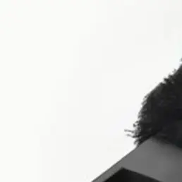 

Main Brush For SHARK IP3251/IP3251C/IP32521 Robot Vacuum Cleaner Accessories Nylon Plastic Home Cleaning Appliance Part