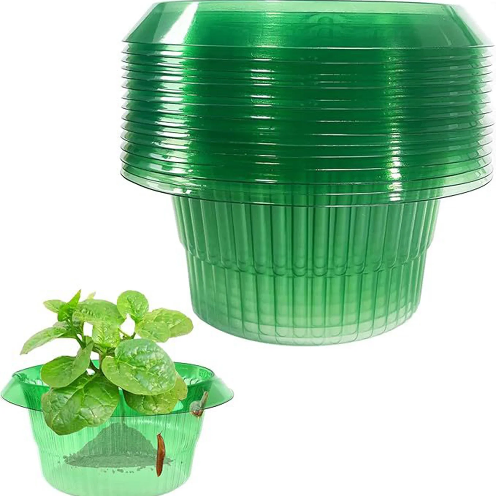 Gardening Snail Guard Collars Reusable Transparent Anti Snail Plant Protector For Vegetables Flowers Herb Pots Outdoor Indoor