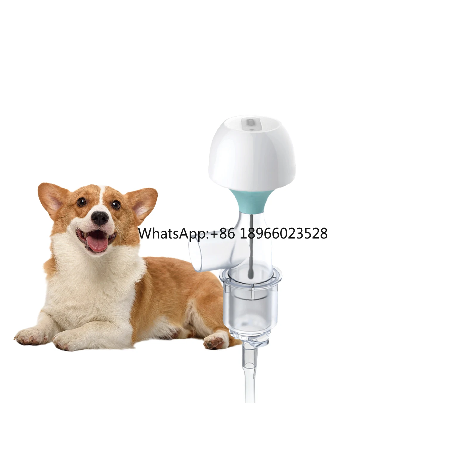 

Pet Surgery Prime Indicator Device Pet Breathing Safe Respiratory Monitor