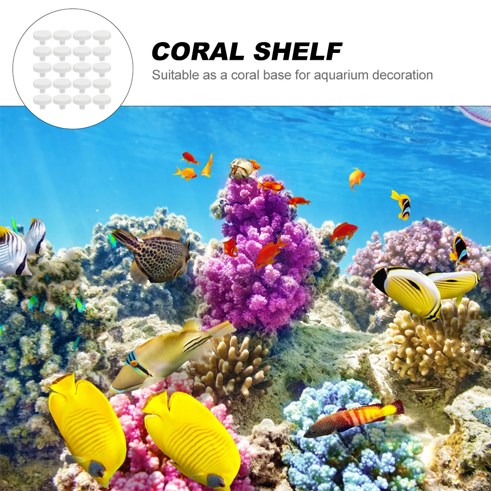 

20 Pcs Coral Pedestal White Support Aquarium Decor Plant Stabilize Plants Fish Tank Decorations Reef Accessories Ceramics