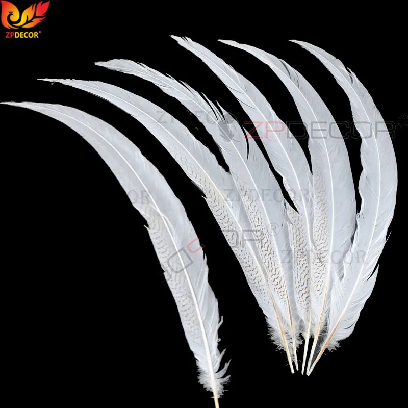 70-75 CM 28-30 Inch Silver Pheasant Tail Feathers Color can be custom