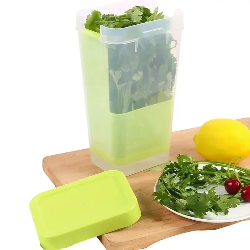 Fresh Herb Keeper for Refrigerator, Clear BPA-Free Herb Saver, Storage Container for Cilantro, Parsley, Thyme Keeps Fresh Herbs