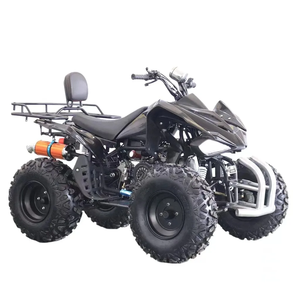 200CC 4-Stroke ATV Mini Chain Drive Quad Bike