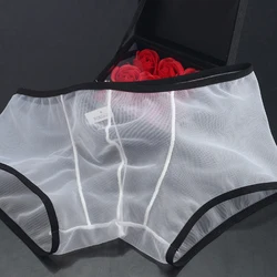 Calzoncillos transparentes para hombre, ropa interior, bragas de tiro bajo, malla