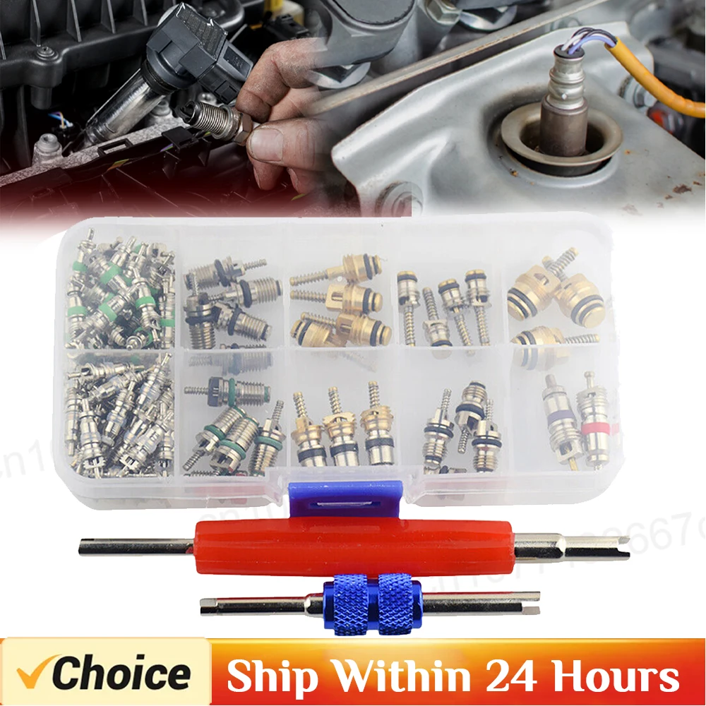

102Pcs Car Air Conditioning Valve Core Set R134A Car Air Conditioner Valve Cores Assortment AC Shrader Valve Core for Buick Auto