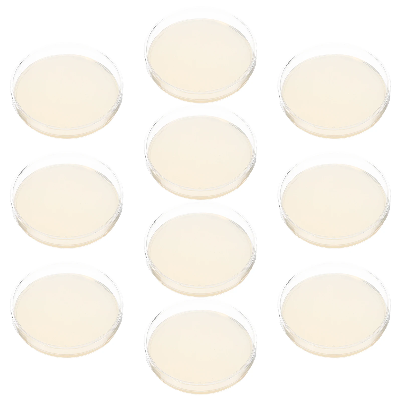 

10pcs Agar Plates Disposable Nutrient Agar Medium For Biology Science Projects Vacuum Packaging Bacteria Culture Determine