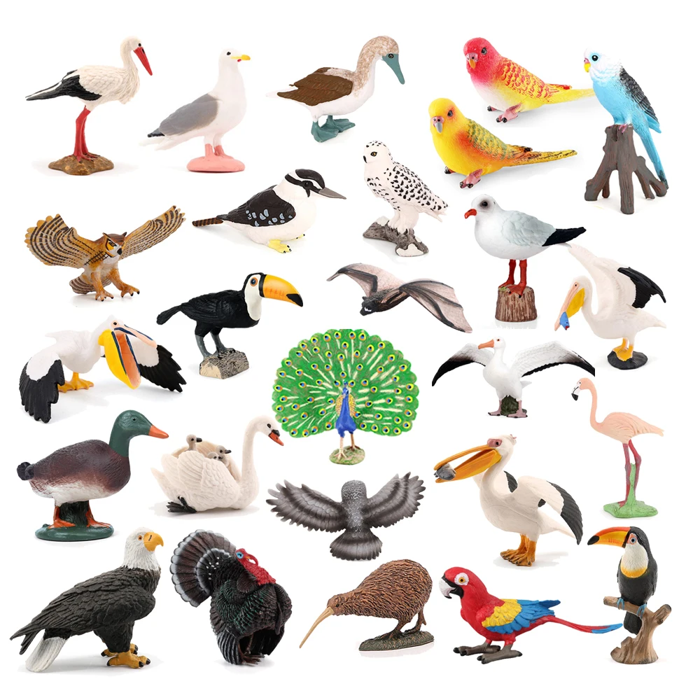 Kiwi Bird Jungle Animals Figures Peacock Phoenix Mallard Turkey Toucan Action Figure Toy Animal Figurines Toys for Kids Gifts