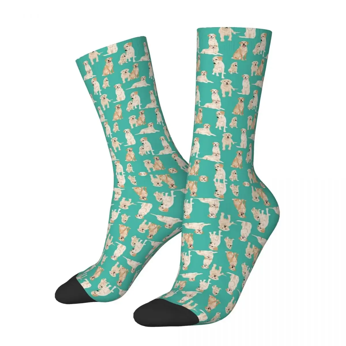 

Yellow Labs And Teal Socks Harajuku Super Soft Stockings All Season Long Socks Accessories for Unisex Birthday Present