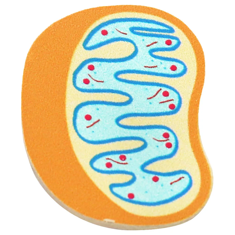 Mitochondria Is The Powerhouse of the Cell Ribosome Matrix DNA Biological knowledge learn education Student Teacher Lapel Pin