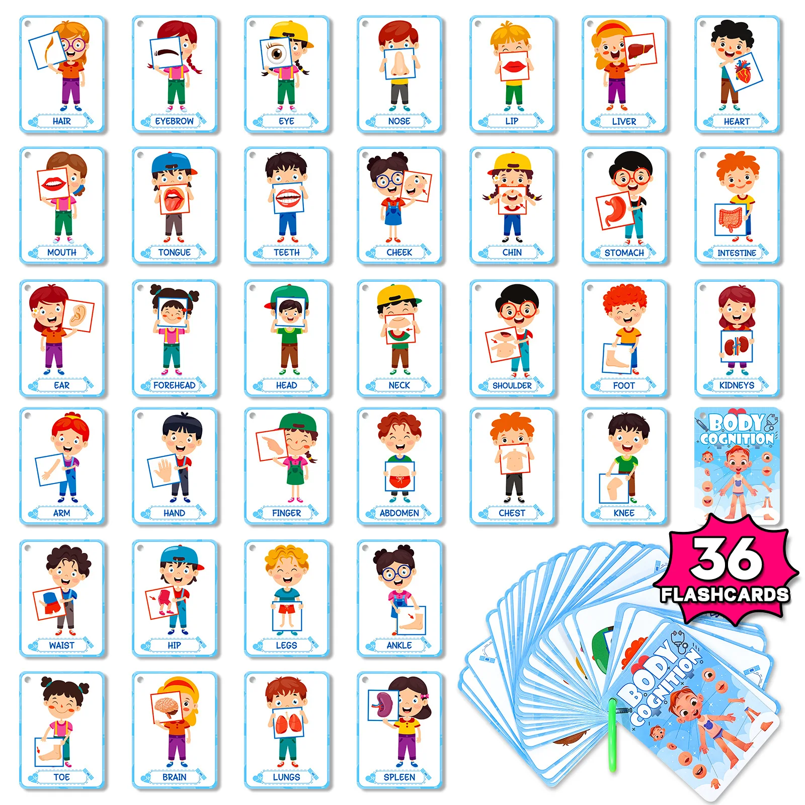 Bview Art 36Pcs Body Awareness Baby Cognitive Flash Cards Children Early Education Toys Montessori Learning Cards