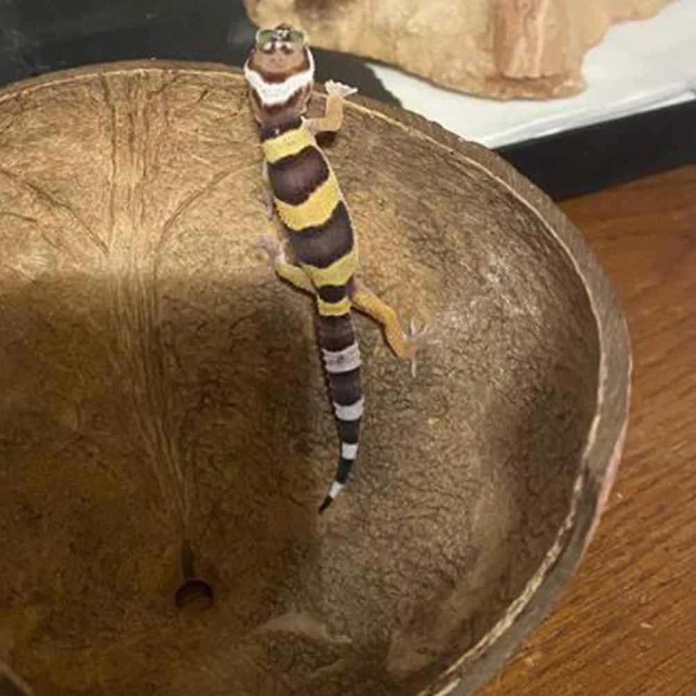 

2pcs Reptile Hideout Coconut Shell Shaped Natural Coir Huts For Hermit Crab Small Reptile Shelter Terrarium Decor Supplies