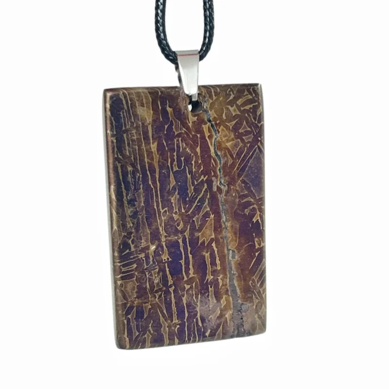 29.3g Muonionalusta meteorite pendant Natural iron meteorite pendant Meteorite slice Collection -LK268