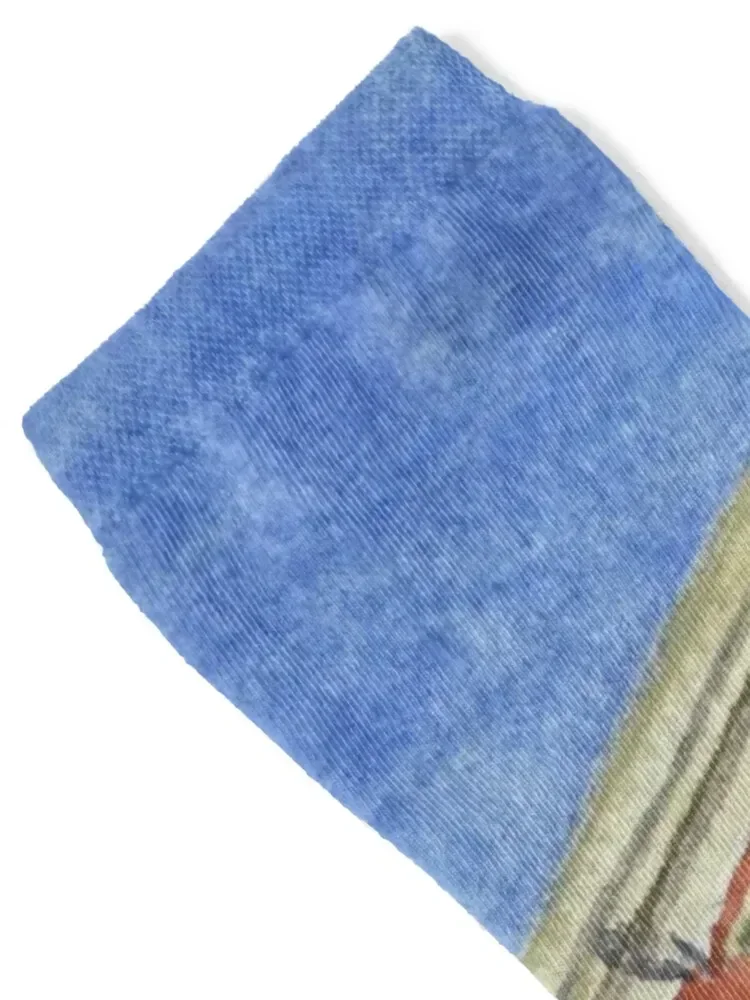 Villa Isola, Siracusa, Sicily Socks Rugby Sports compression Stockings Woman Socks Men's