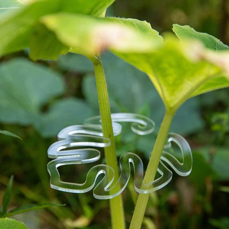 Y estacas de suporte para plantas, suporte transparente em forma de monstera, reutilizável, resistente, clipe de retenção de folhas de flores, para plano em vaso