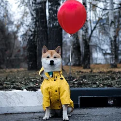 Chubasquero impermeable para perros, chaqueta a prueba de viento para perros pequeños, medianos y grandes, ropa de moda para mascotas