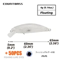 Blank Lure With Eyes