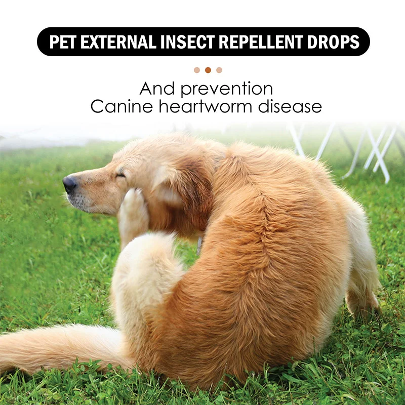 Flea and Tick Lice Control Against Fleas for Cats Dog Pet Deworming Itching Stop Fighting Insecticicid Anti Health Care