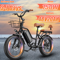 LD20 Electric Bicycle 750W Powerful Motor 48V20AH Removable Battery Adult City E-bike 20*3.0-In Fat Tire Two Seat Electric Bike