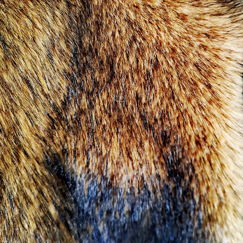 الكركم الأصفر فو الفراء النسيج ، حوالي 3-5 سنتيمتر طرف الشعر الأسود ، فرو الثعلب الاصطناعي ، الخياطة Diy بها بنفسك معطف طوق ، ملابس المرحلة ، الديكور