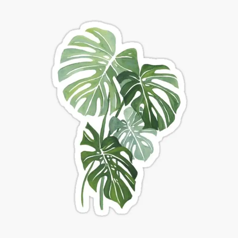 Monstera Leaves Sticker for Laptop Decor Bedroom Car Cute Cartoon Art Fashionable Public Suitcase