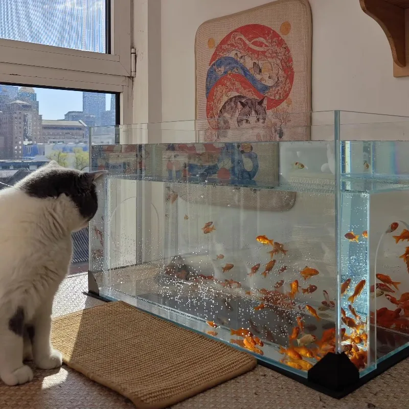 

Cat bed in one piece ultra White Glass cat Fish tank Pet Water World accesorios para pecera Family white glass fish tank