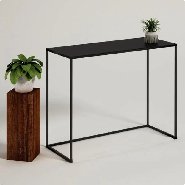 canape-robot-long-et-etroit-vue-d'extremite-table-de-salon-art-en-fer-hall-d'entree-cloison-simple-ter-swee-floor-ra-elf