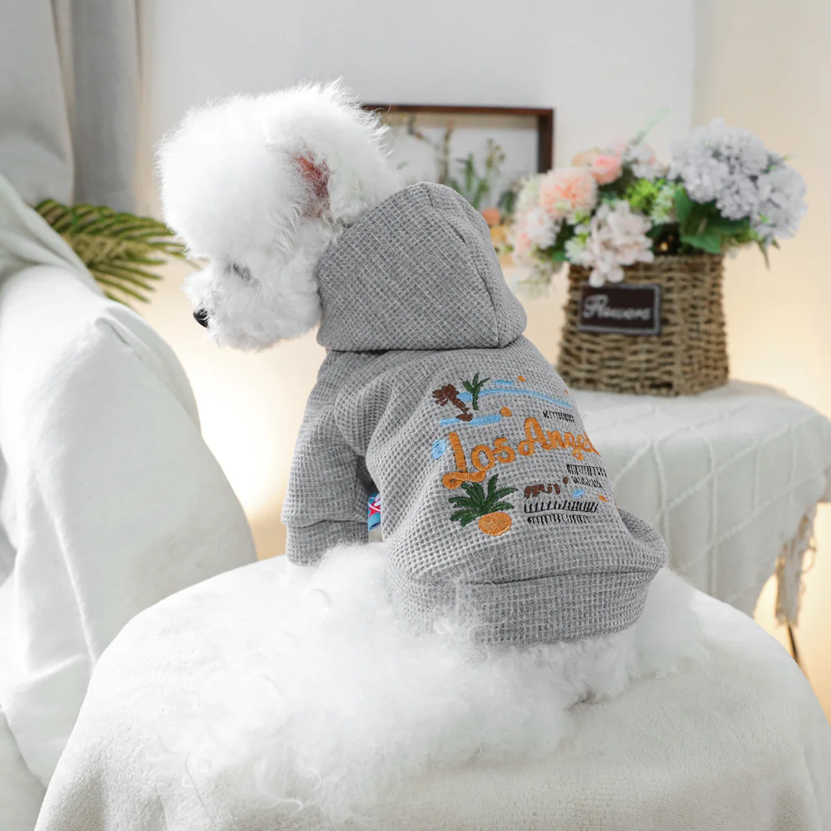 1PC Pet Clothing Spring and Autumn Grey Sunshine California Hat Coat Suitable for Small and Medium sized Dogs