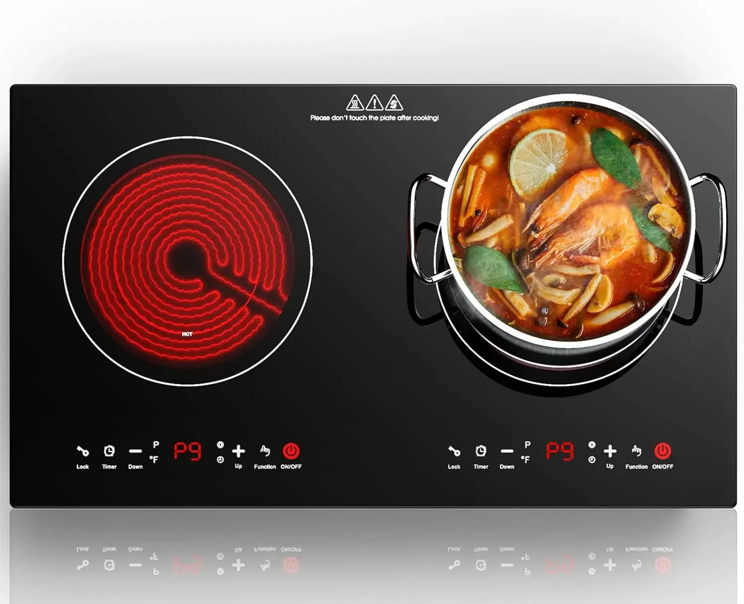 Cooktop 24 Inch,Electric Stove 2 Burners 110V Built-in and Countertop Plug in 2400w,LED Touch Screen,9 Heating 9 Temperature,Ove