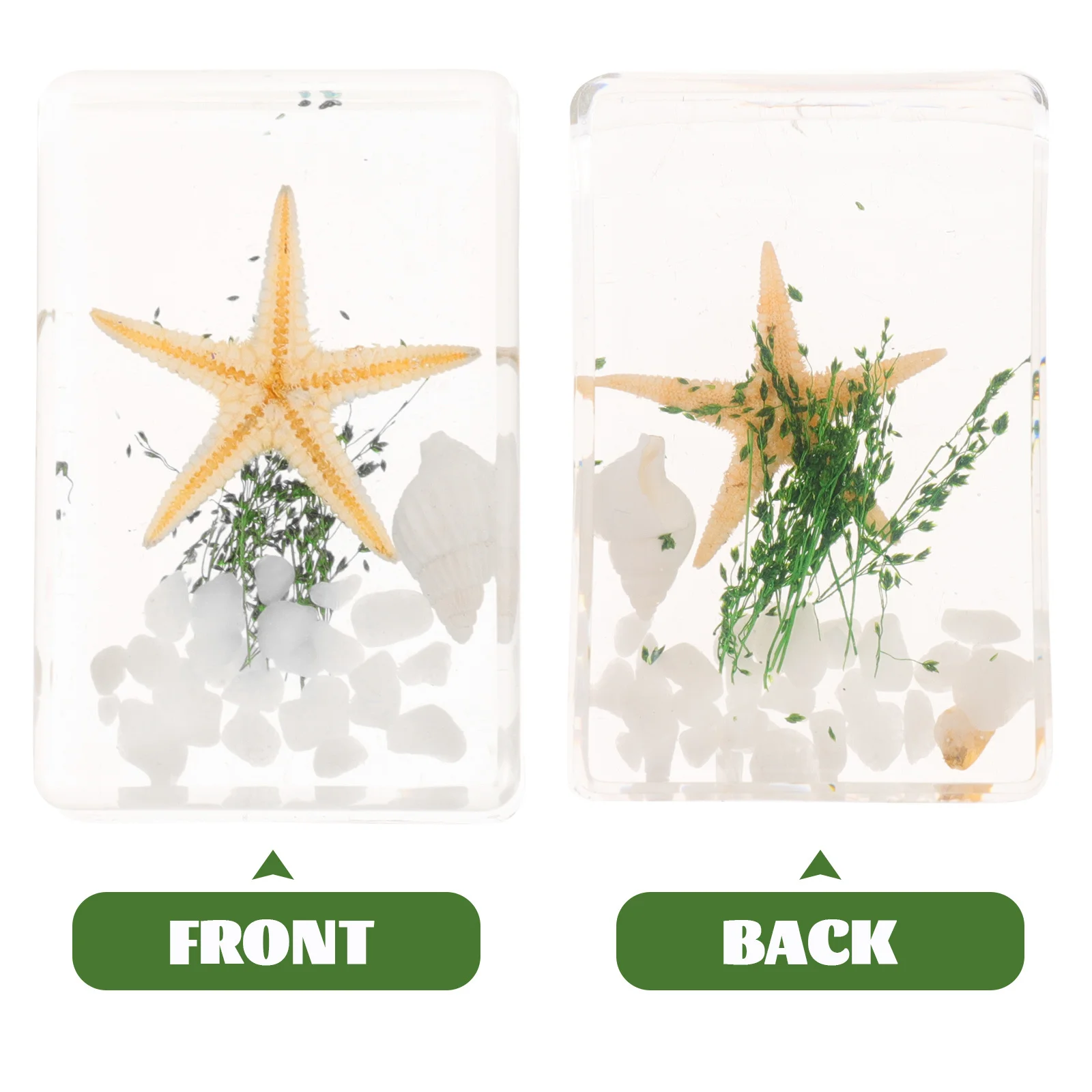 3 قطعة عينة نجمة البحر الراتنج زخرفة سطح المكتب المحيط الحيوانات الديكور ديكور المنزل مكتب الحرفية هدية