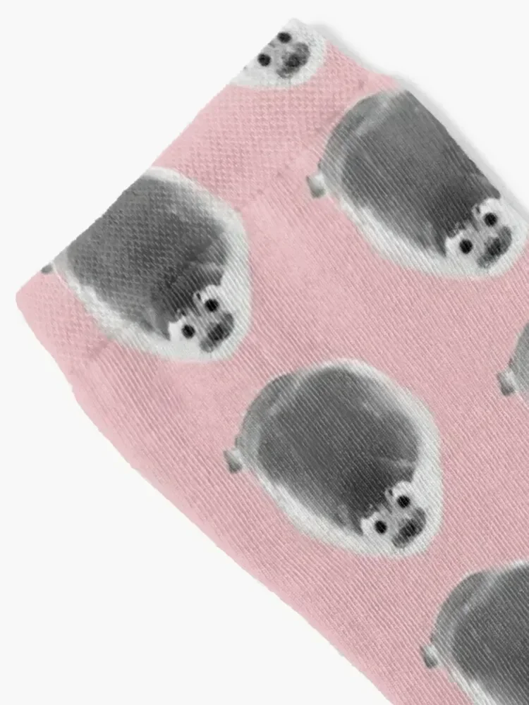 Cute Seal Socks sheer hiking Socks Men's Women's