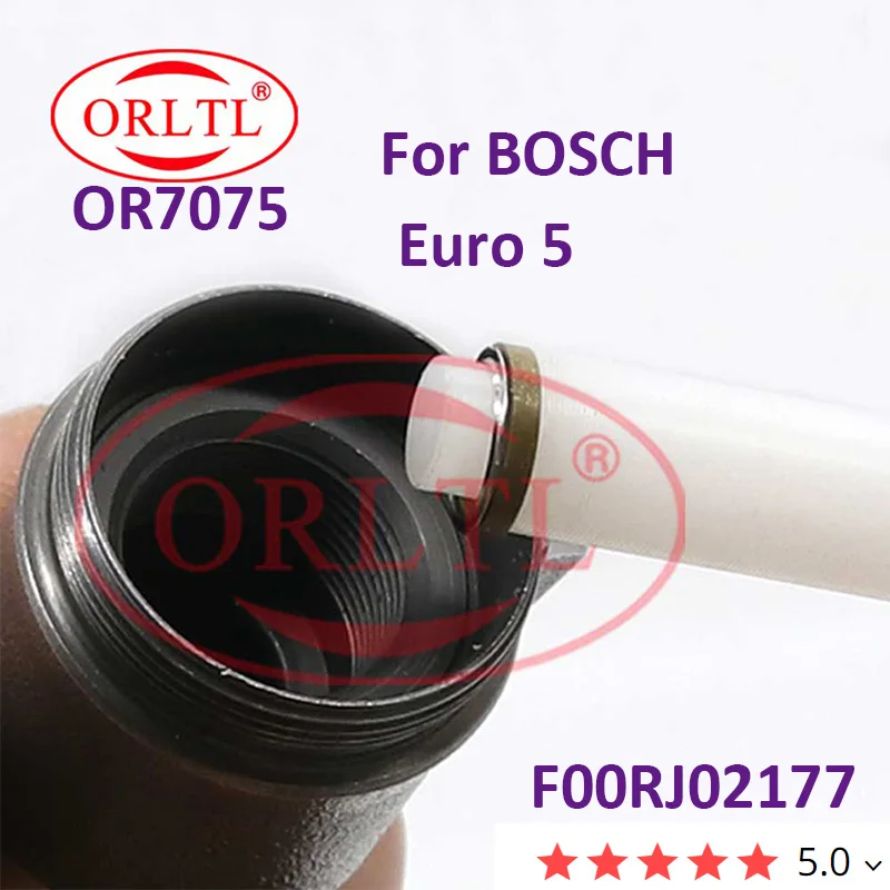 

ORLTL F00RJ02177 Fuel Injector Internal Seal Ring Dismounting Kits Removal Tool Used For Bosch Euro5 Injector OR7075