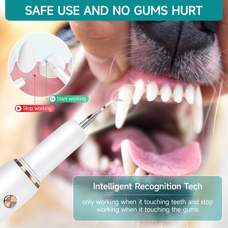 Thumbnail 2 - #29 Compare Ultrasonic Scalers Before You Buy