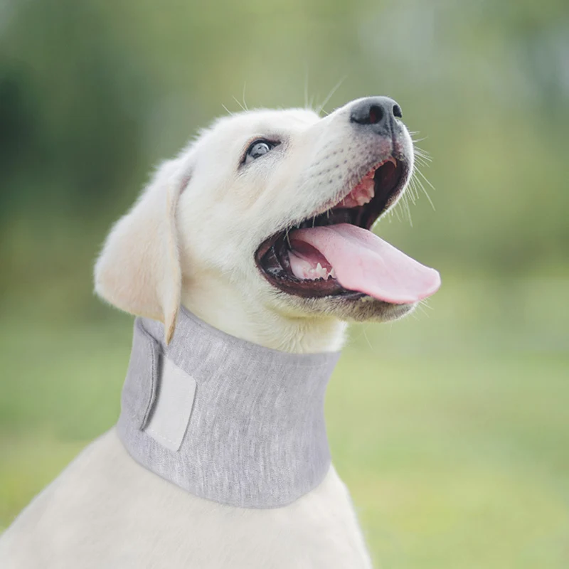 

Dog Neck Brace Elizabethan Collar for Puppy After Surgery Recovery Adjustable Breathable Soft Collars for Small Medium Dogs