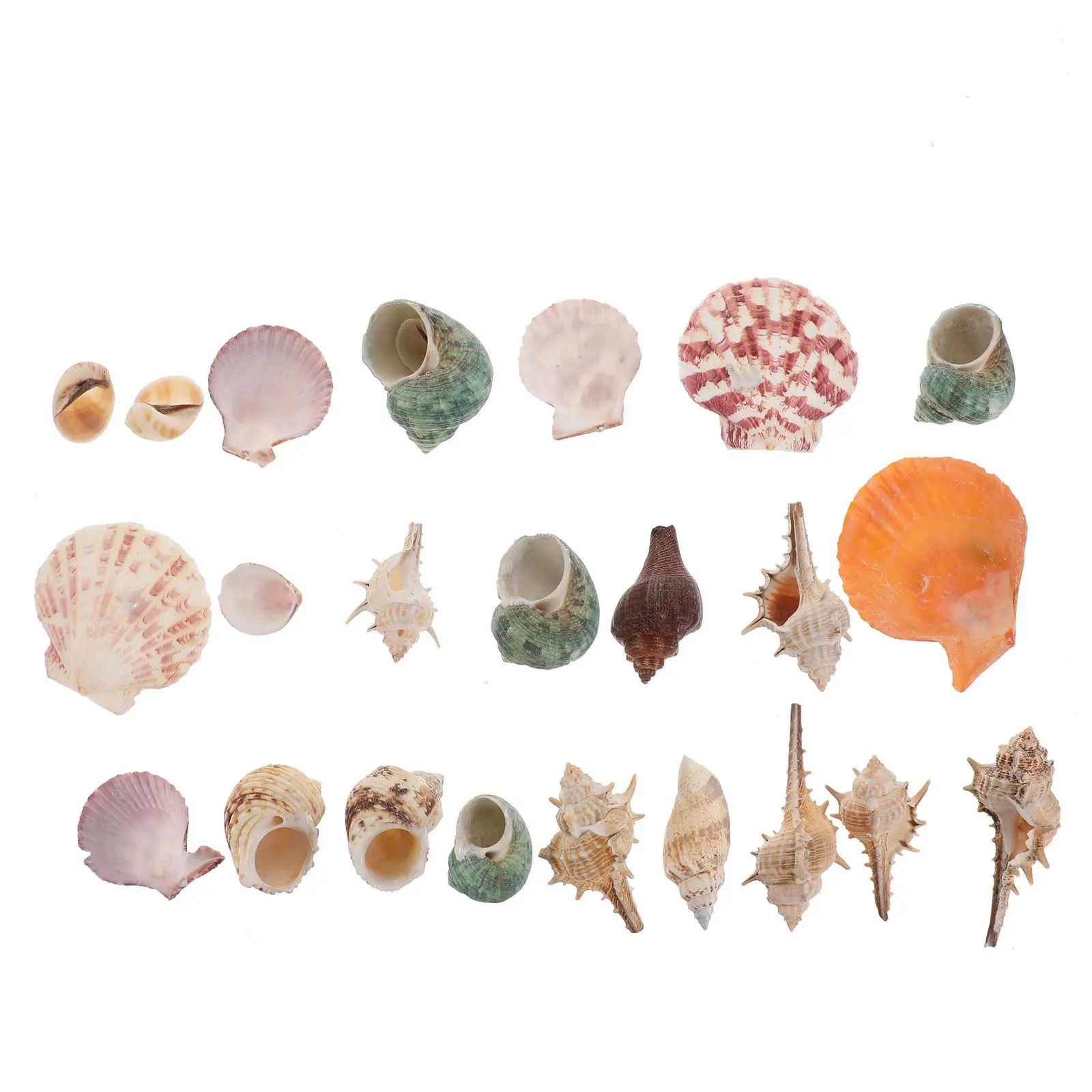 1Pack Simulation Conch Shells Aquarium 200G Fish Tank Decor Lifelike Natural Landscape Accessory Aquarium Decor